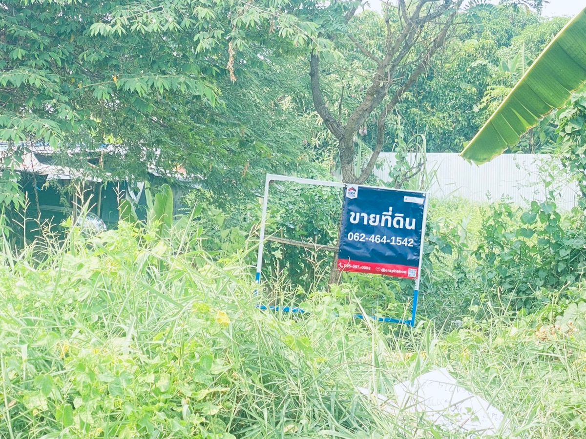 ขายที่ดินเปล่า “บางเขน–รามอินทรา” 200 ตรว. ทำเลทอง ใกล้ BTS สะพานใหม่ ราคาดีที่สุดในย่านนี้! – รูปที่ 3