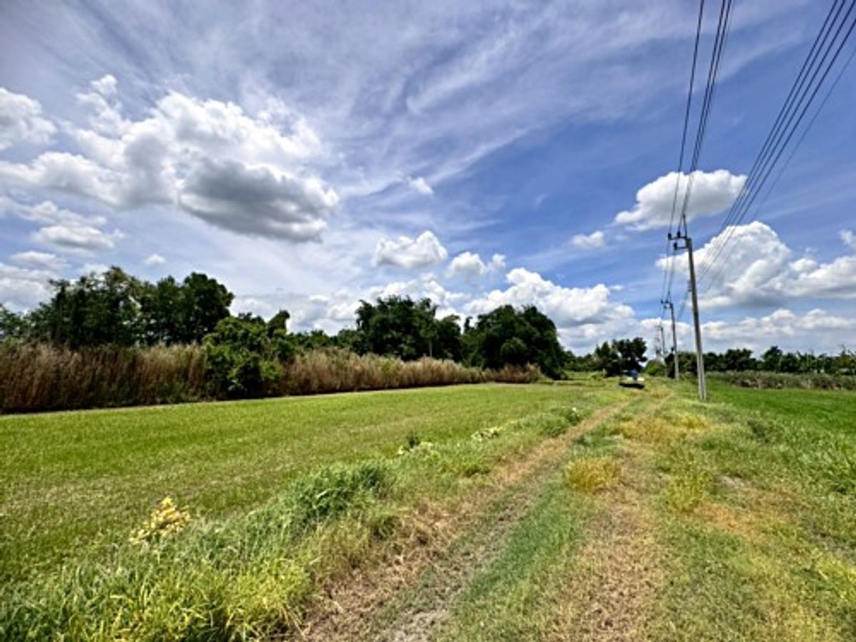 Land for sale, Nong Chok, Pracha Samran Road (Soi Ruam Phatthana) ** only 4,500/square wah ** (N.1717) Land for sale, Nong Chok, Pracha Samran Road (Soi Ruam Phatthana) ** only 4,500/square wah ** (N.1717)
