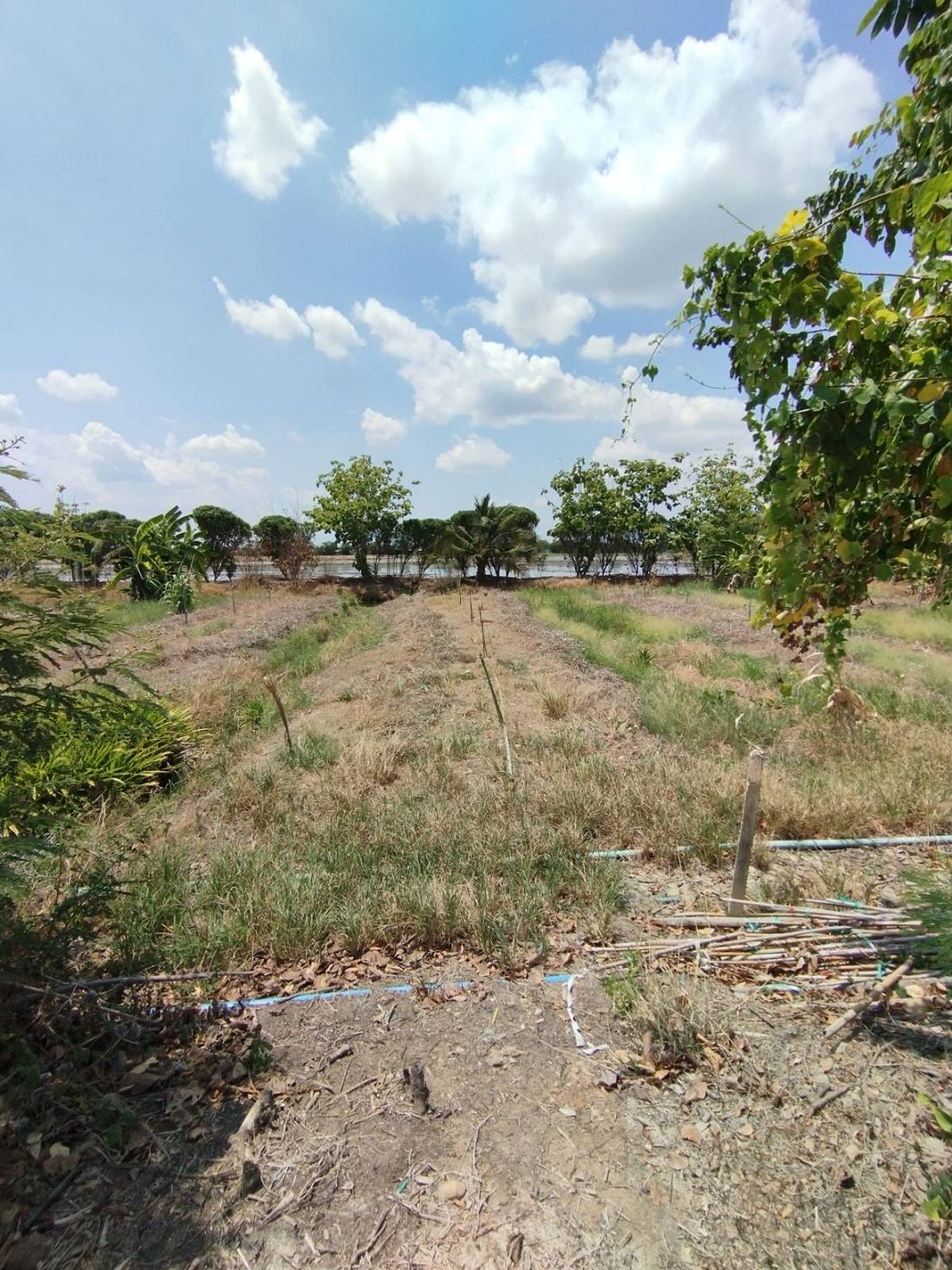 ขาย ที่ดินเปล่า 1 ไร่ 86 ตร.วา ต.ไผ่หูช้าง อ.บางเลน จ.นครปฐม – รูปที่ 2