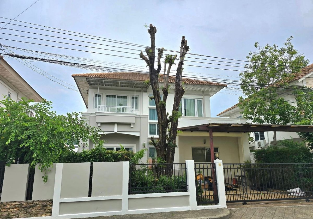 New renovated house for rent