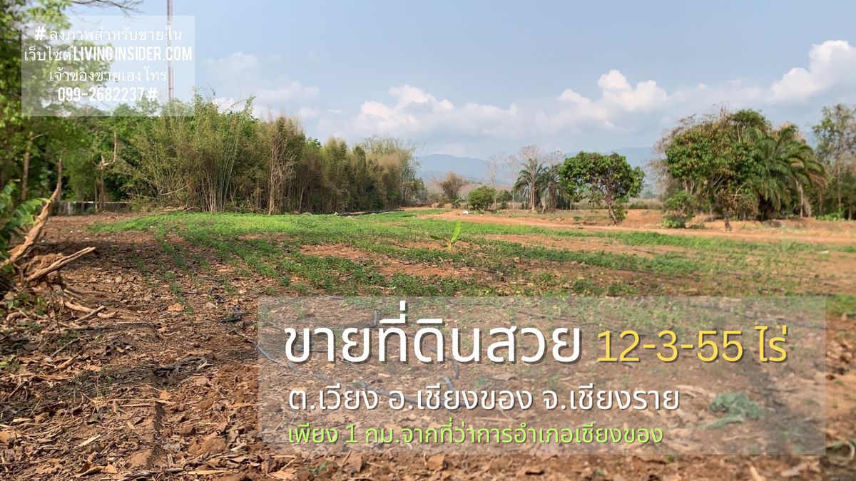 ขายที่ดินสวย 12-3-55 ไร่ วิวภูเขาในตัวเมืองแหล่งชุมชนอำเภอเชียงของ น้ำไม่เคยท่วม ขายที่ดินสวย 12-3-55 ไร่ วิวภูเขาในตัวเมืองแหล่งชุมชนอำเภอเชียงของ น้ำไม่เคยท่วม