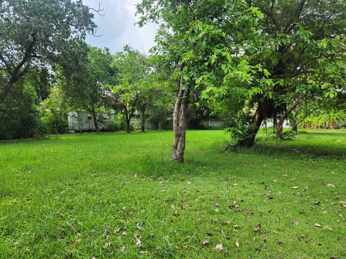 ขายที่ดินติดถนนสุขุมวิท ใกล้รถไฟฟ้าปุณณวิถี ขายที่ดินติดถนนสุขุมวิท ใกล้รถไฟฟ้าปุณณวิถี