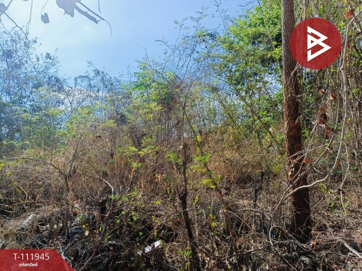 ขายที่ดิน เนื้อที่ 1 งาน 1.6 ตร.วา ท่ามะขาม กาญจนบุรี – รูปที่ 3