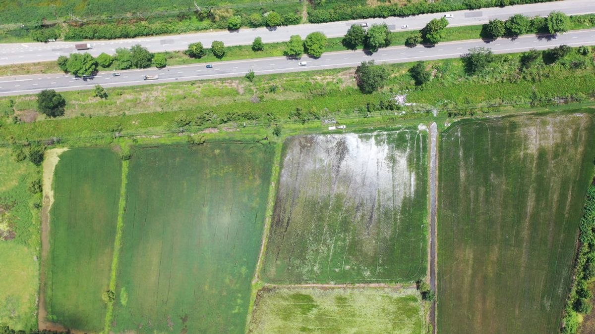 Land for sale in Chachoengsao-Kabin Buri Road Next to the Highway 304, near Bang Kla Intersection Near Si Phanom Sarakham Intersection – รูปที่ 4