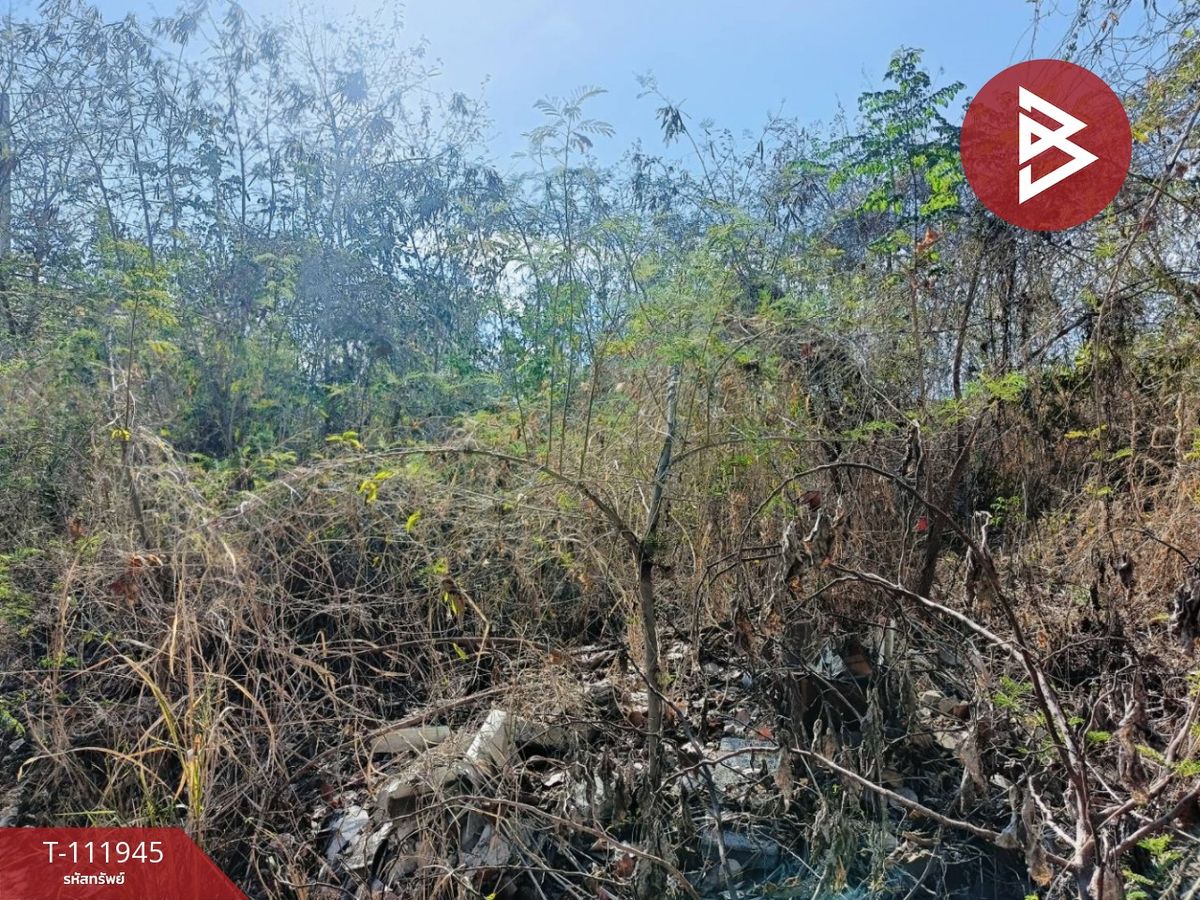 ขายที่ดิน เนื้อที่ 1 งาน 1.6 ตร.วา ท่ามะขาม กาญจนบุรี – รูปที่ 4
