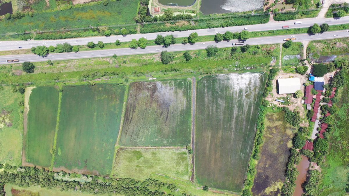 Land for sale in Chachoengsao-Kabin Buri Road Next to the Highway 304, near Bang Kla Intersection Near Si Phanom Sarakham Intersection – รูปที่ 2