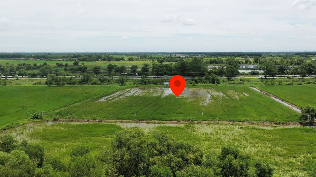 Land for sale in Chachoengsao-Kabin Buri Road Next to the Highway 304, near Bang Kla Intersection Near Si Phanom Sarakham Intersection – รูปที่ 3