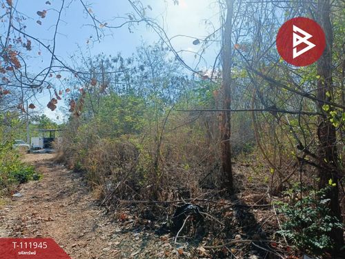Land for sale in an area of ​​1 work 1.6 sq.wah Makham Kanchanaburi