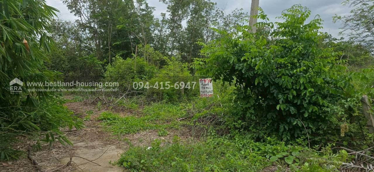 Land for sale in Bang Len area, Suan Ek University, 156 sq. Wah, Bang Tax Subdistrict, Bang Len District, Nakhon Pathom Province – รูปที่ 3
