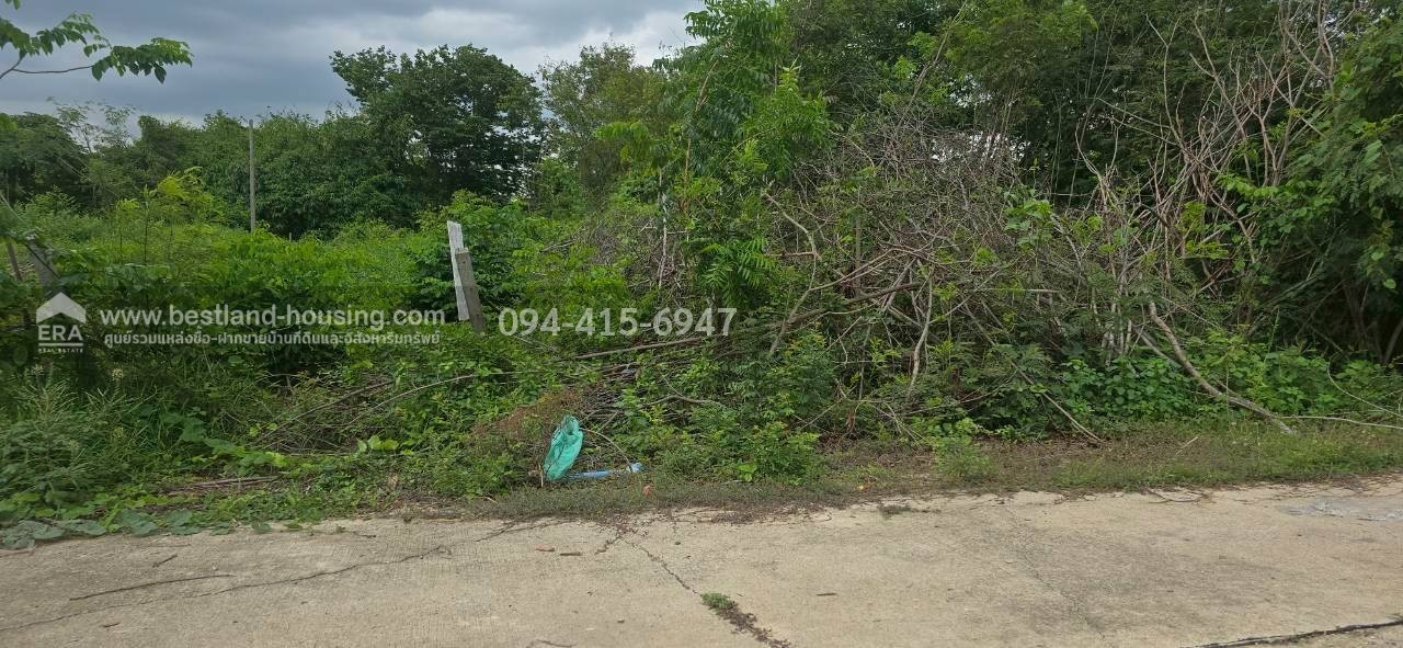 Land for sale in Bang Len area, Suan Ek University, 156 sq. Wah, Bang Tax Subdistrict, Bang Len District, Nakhon Pathom Province – รูปที่ 4