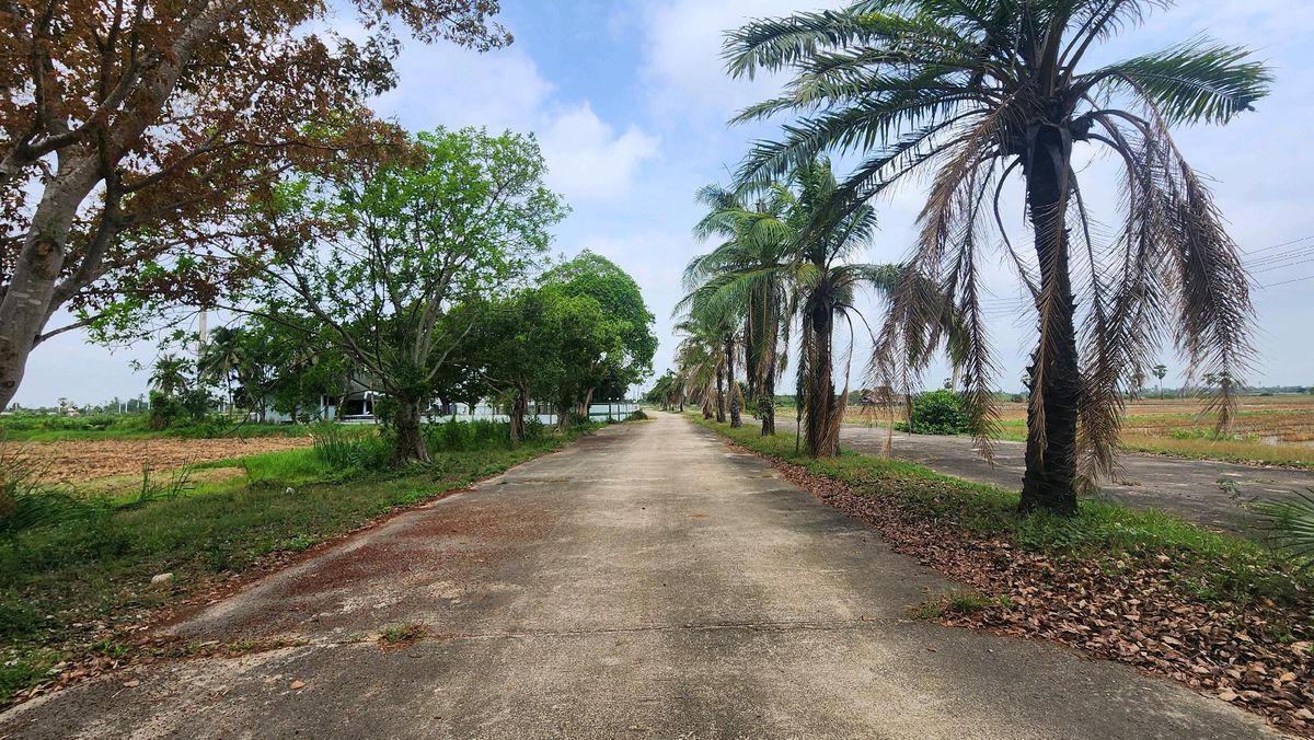 Land for sale 94-2-90 Rai Khiri Thong, Thongchai Subdistrict, Phetchaburi Province, lower than the bank assessment price. – รูปที่ 3