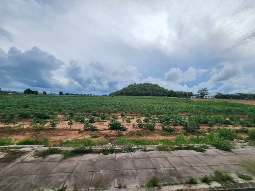 ❖ Beautiful Land of Patthaya ❖ ขนาดที่ดิน 61,107 ตร.ว. | ที่ดินผังสีส้ม | ห่างจากอ่างเก็บน้ำชากนอก 1 กม., เทศบาลห้วยใหญ่ 4 กม., หาดจอมเทียน 9 กม., เมืองพัทยา 11 กม., Terminal 21 พัทยา 15 กม.