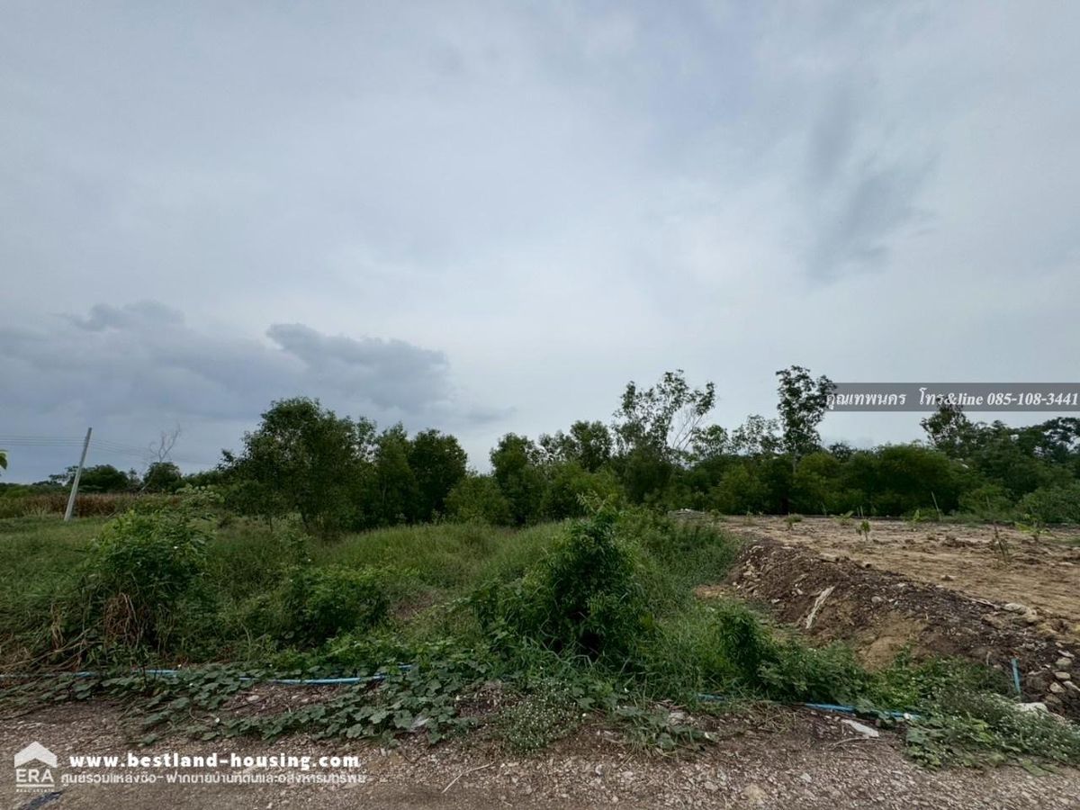 ขายที่ดินเปล่า อ.ไทรน้อย จ.นนทบุรี 170 ตรว – รูปที่ 3
