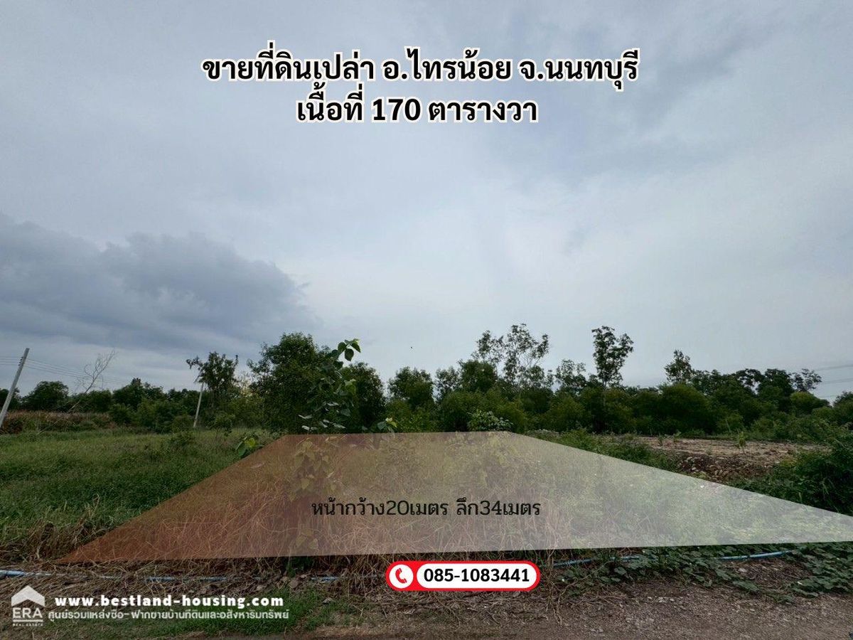 ขายที่ดินเปล่า อ.ไทรน้อย จ.นนทบุรี 170 ตรว ขายที่ดินเปล่า อ.ไทรน้อย จ.นนทบุรี 170 ตรว