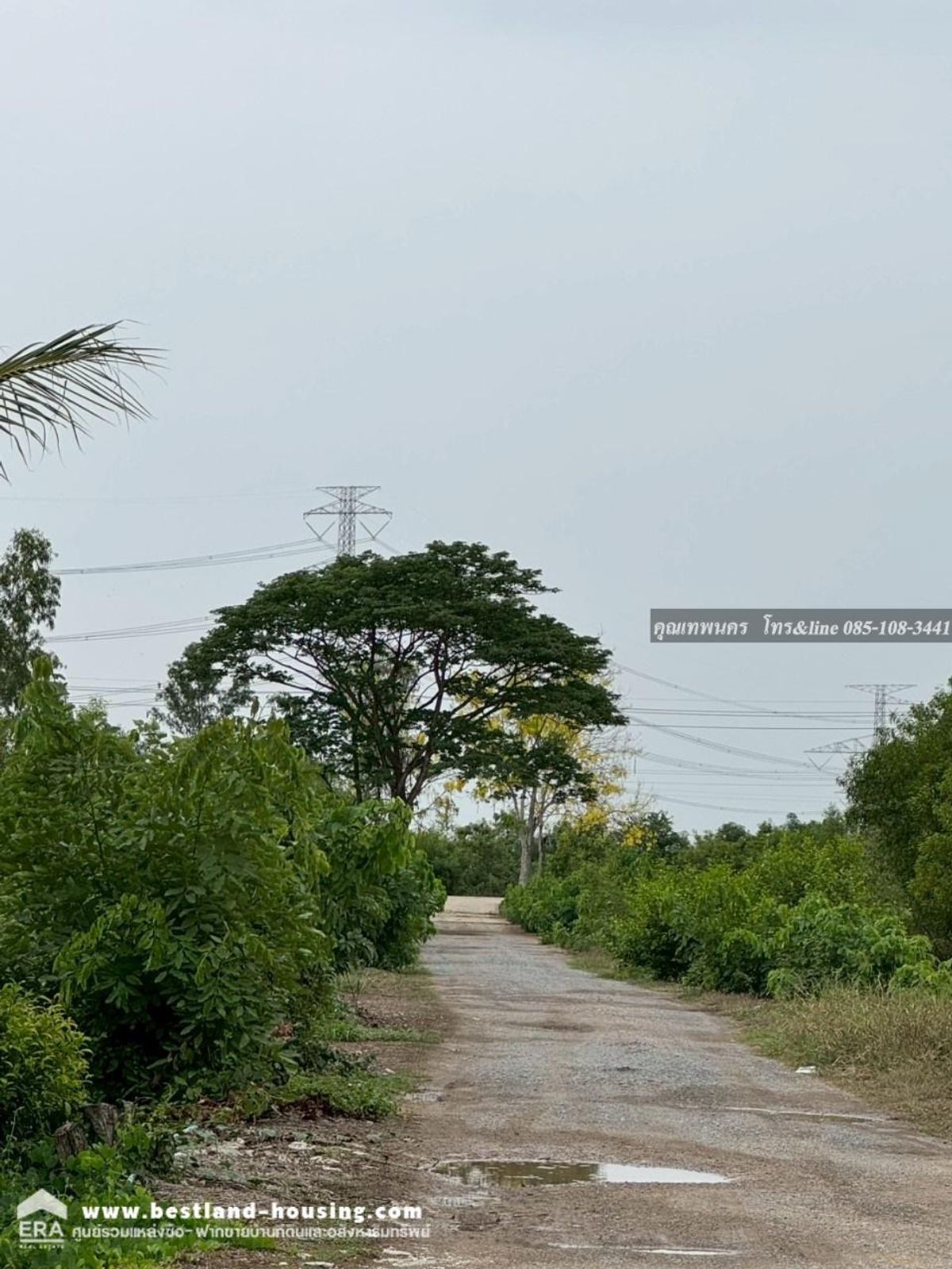 ขายที่ดินเปล่า อ.ไทรน้อย จ.นนทบุรี 170 ตรว – รูปที่ 2