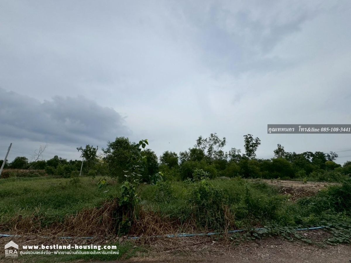 ขายที่ดินเปล่า อ.ไทรน้อย จ.นนทบุรี 170 ตรว – รูปที่ 4