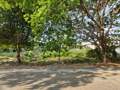 Pak Pae Nonthaburi Land for sale, size 100 sq.m., near facilities