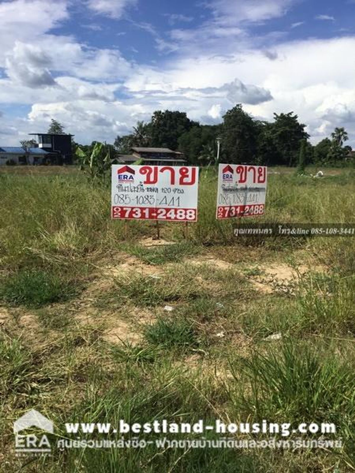 60 square meters of land for sale, Lam Sai Subdistrict, Lam Luk Ka District, Pathum Thani, land reclamation, concrete road – รูปที่ 2