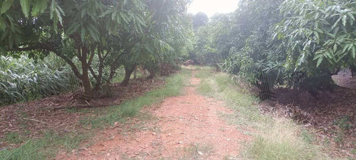 Vacant land, size 3 rai, opposite Singha Beverage, Buaphak Tha Subdistrict, Bang Len District, Nakhon Pathom. – รูปที่ 2