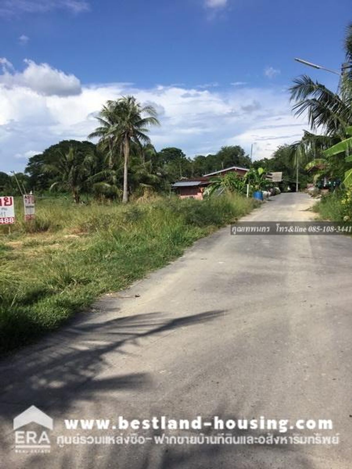 60 square meters of land for sale, Lam Sai Subdistrict, Lam Luk Ka District, Pathum Thani, land reclamation, concrete road – รูปที่ 4