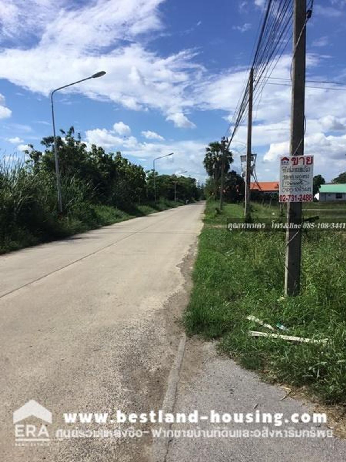 60 square meters of land for sale, Lam Sai Subdistrict, Lam Luk Ka District, Pathum Thani, land reclamation, concrete road – รูปที่ 3