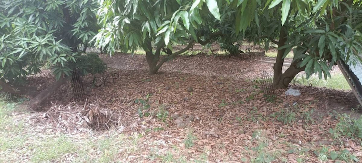 Vacant land, size 3 rai, opposite Singha Beverage, Buaphak Tha Subdistrict, Bang Len District, Nakhon Pathom. – รูปที่ 4