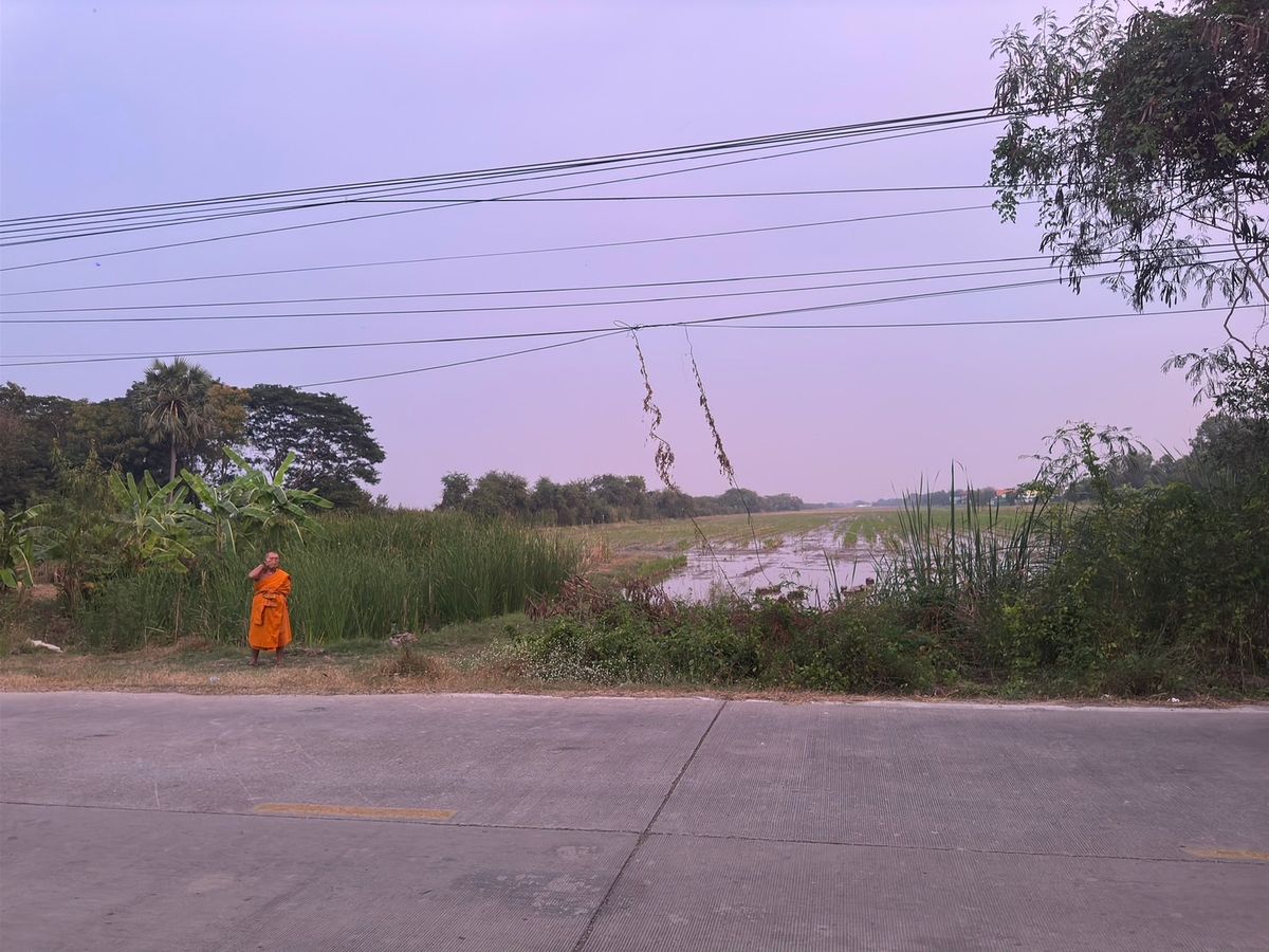 Selling very cheap, good location, very nice to invest in Lam Luk Ka, Khlong Hok or Rangsit side, Khlong Luang, Khlong Hok, on the 2nd side of the road, 39 rai – รูปที่ 4