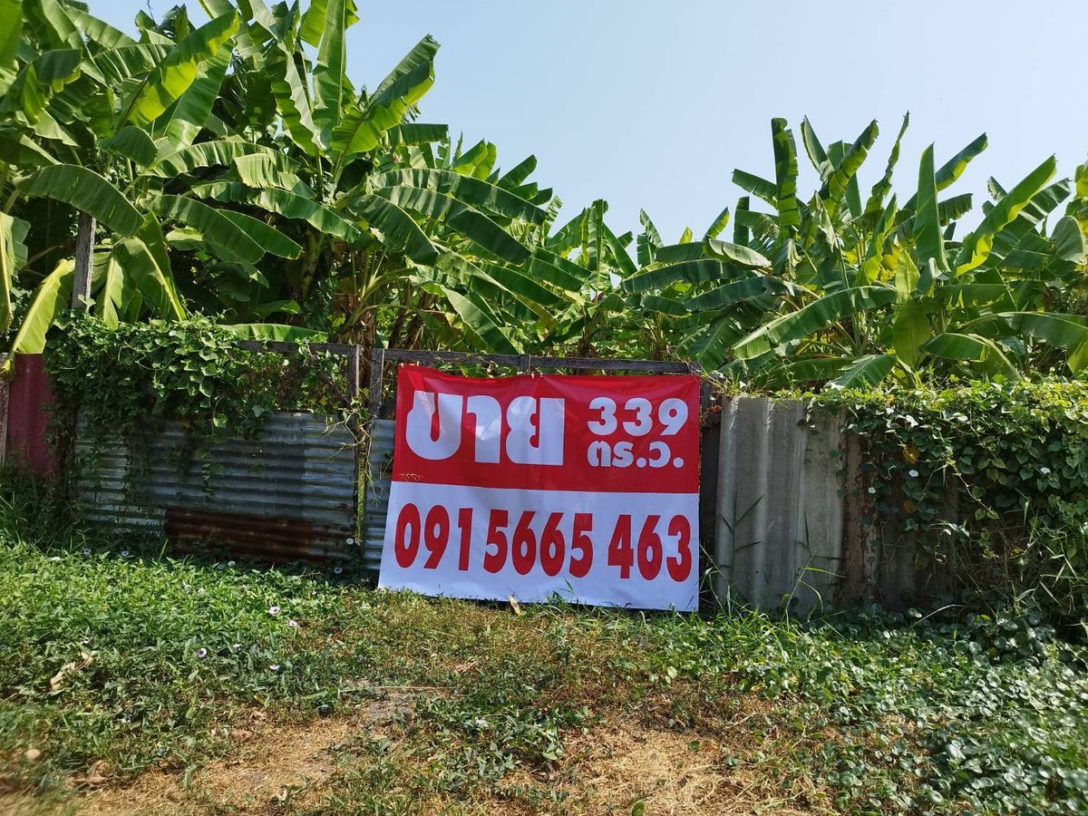 ขายด่วน ที่ดิน 339 ตร.ว.เหมาะทำคฤหาสน์ อพาร์ทเมนท์ เพียง 7.9 ล้านบาท ขายด่วน ที่ดิน 339 ตร.ว.เหมาะทำคฤหาสน์ อพาร์ทเมนท์ เพียง 7.9 ล้านบาท