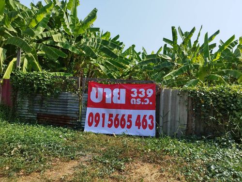 ขายด่วน ที่ดิน 339 ตร.ว.เหมาะทำคฤหาสน์ อพาร์ทเมนท์ เพียง 7.9 ล้านบาท