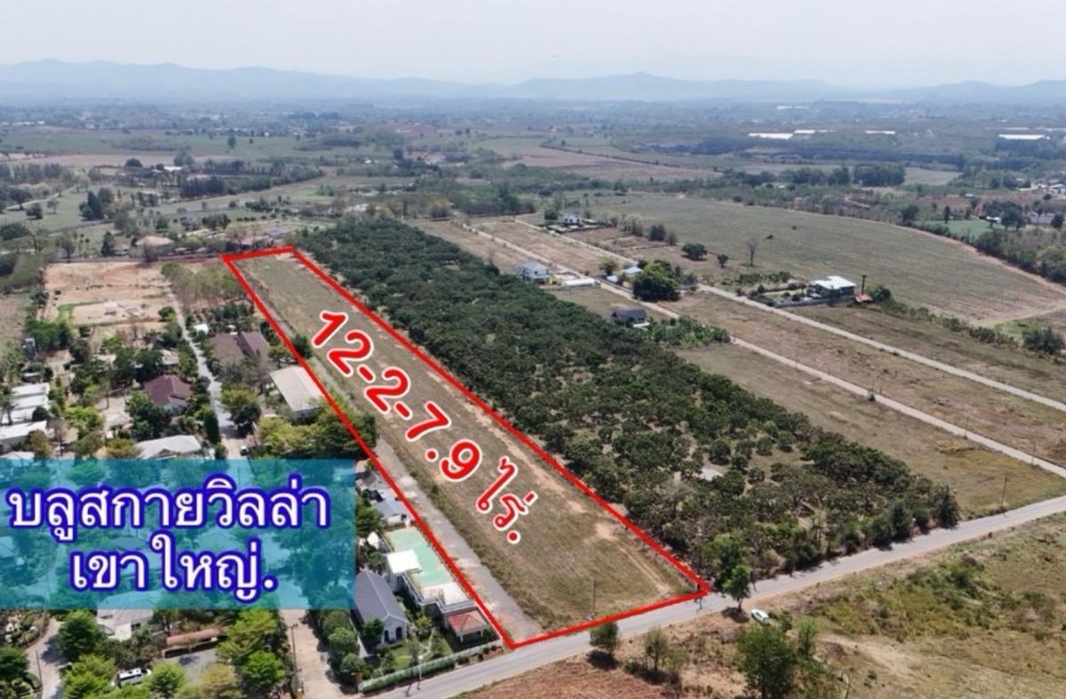 ขายที่ดินปากช่อง - ขนงพระ ⛰️ วิวภูเขาสวย 12-2-7.9 ไร่ (5,007.9 ตร.ว.)🔥 เพียง 5,000 บ./ตร.ว. ติดบลูสกายวิลล่า ใกล้มอเตอร์เวย์ M6 อ.ปากช่อง จ.นครราชสีมา