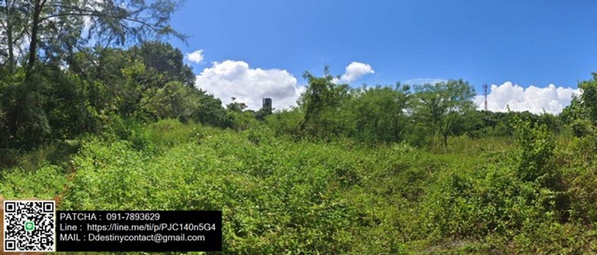 Land for sale, good location, Khao Lak, Phang Nga, next to the main road, convenient to travel