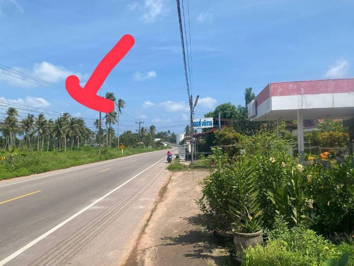 ขายถูกที่ดินเปล่าแปลงสวย ติดถนนท่องเที่ยวใกล้ตำหนักกรมหลวงชุมพรเขตอุดมศักดิ์ – รูปที่ 4