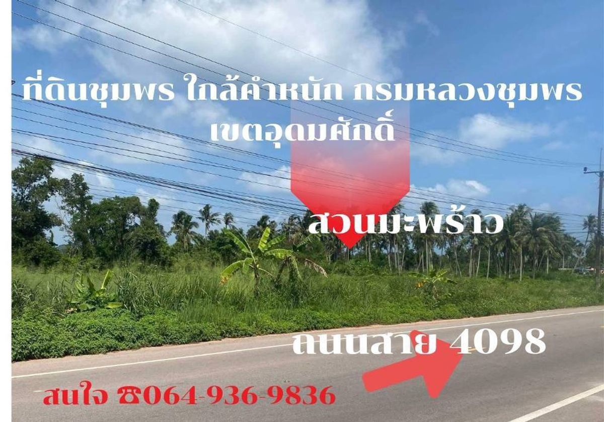 ขายถูกที่ดินเปล่าแปลงสวย ติดถนนท่องเที่ยวใกล้ตำหนักกรมหลวงชุมพรเขตอุดมศักดิ์ ขายถูกที่ดินเปล่าแปลงสวย ติดถนนท่องเที่ยวใกล้ตำหนักกรมหลวงชุมพรเขตอุดมศักดิ์