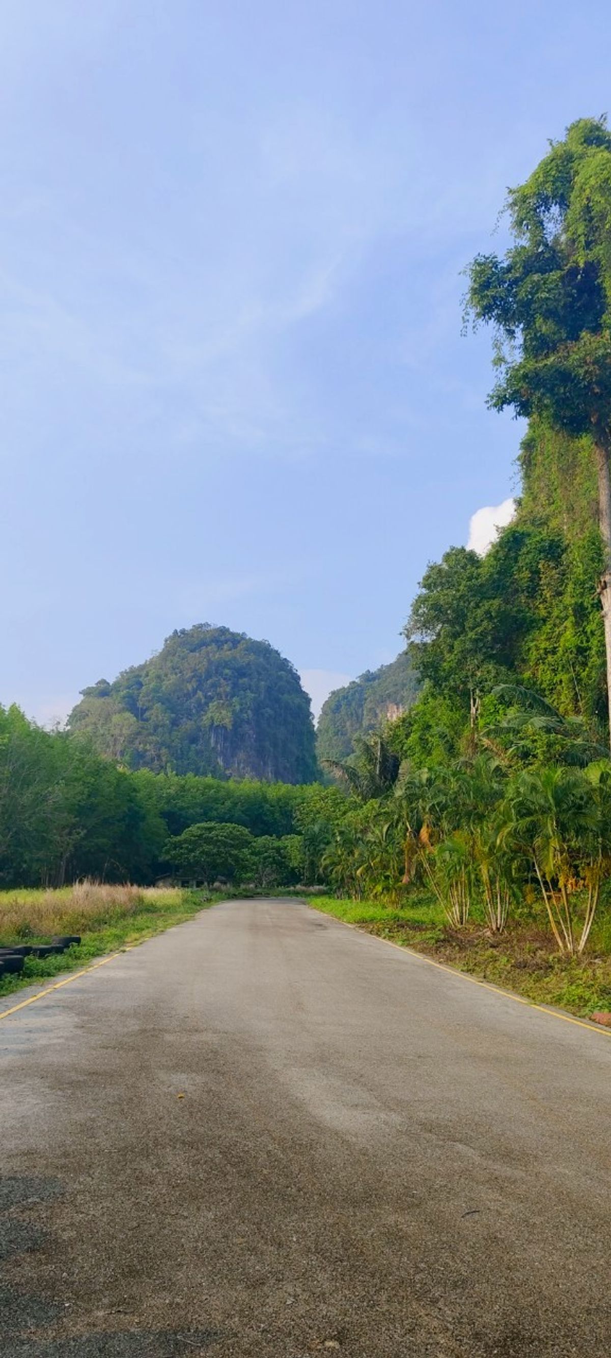 Land for sale at Khao 5-0-81 Rai View, Mueang Krabi District, Krabi Province. Good location near the main road. Convenient to travel. #R1C27664 – รูปที่ 4
