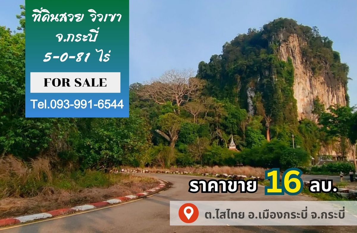 ขายที่ดินวิวเขา 5-0-81 ไร่ อ.เมืองกระบี่ จ.กระบี่ ทำเลดี ใกล้ถนนใหญ่ เดินทางสะดวก #R1C27664