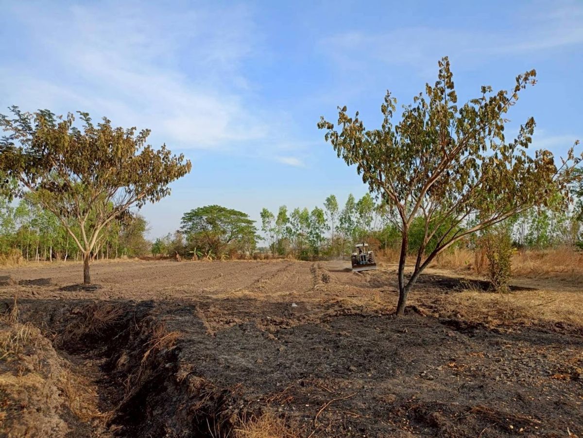 Lop Buri Land for sale Phatthana Nikhom District has a resort house with an area of ​​15-0-12.6 Rai Road 21, Saraburi-Lom Sak Near the Pasak Chonlasit Dam – รูปที่ 3