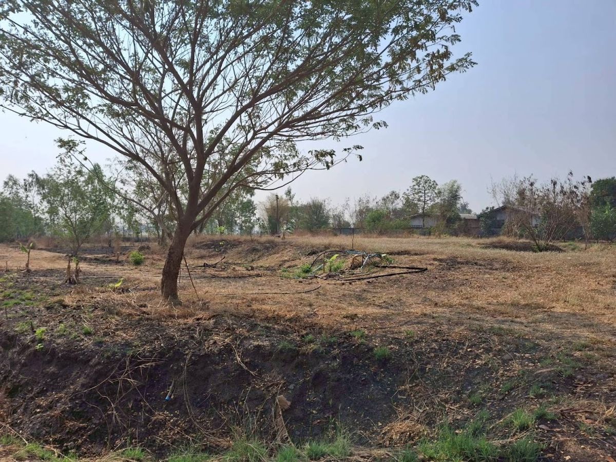 Lop Buri Land for sale Phatthana Nikhom District has a resort house with an area of ​​15-0-12.6 Rai Road 21, Saraburi-Lom Sak Near the Pasak Chonlasit Dam – รูปที่ 2