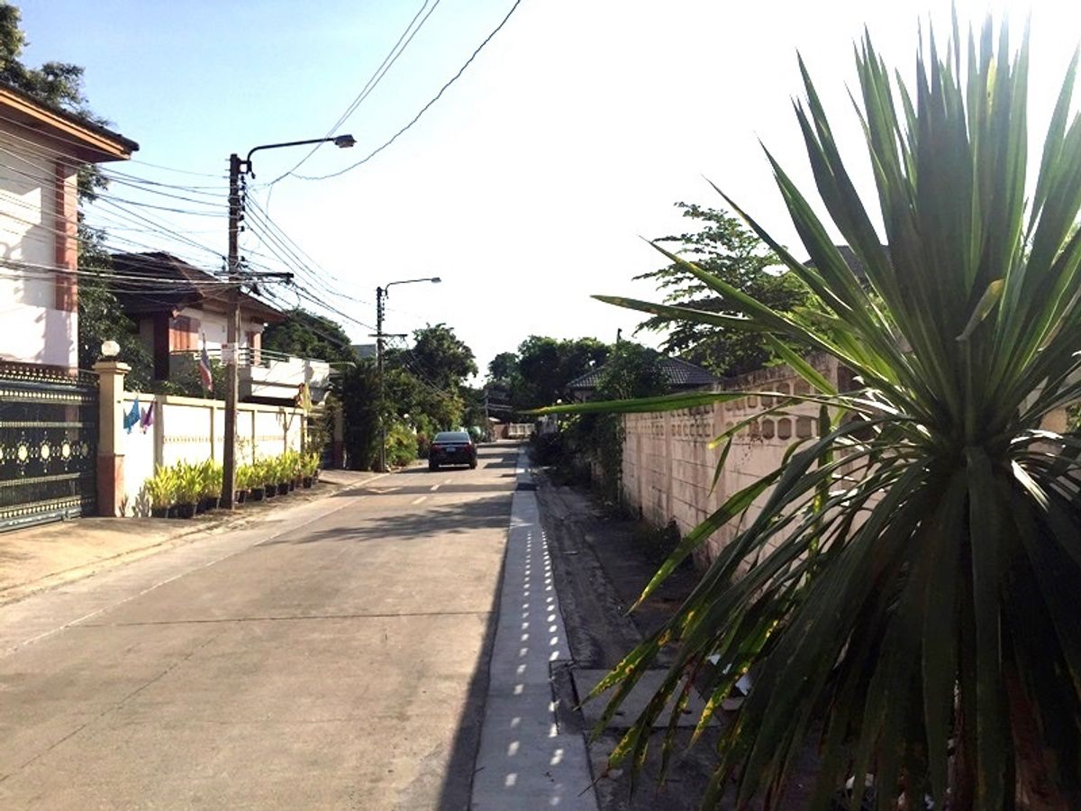 ขายที่ดินสวย ทำเลดีมาก  ม.ประชานิเวศน์ 1 ริมคลองประปา  128 ตรว. ใกล้ทางด่วนรัชดา เดอะมอลล์งามวงศ์วาน – รูปที่ 4