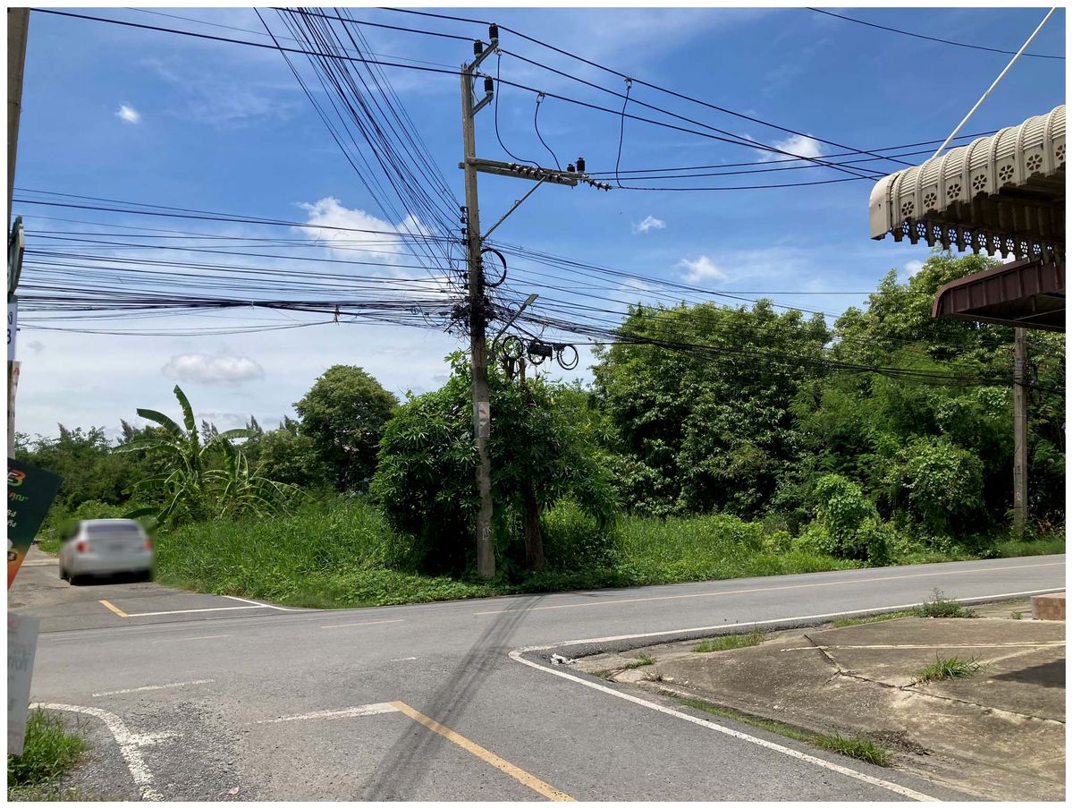 Land for sale at Sahaporn Road, Salaya 98, near Mahidol – รูปที่ 3