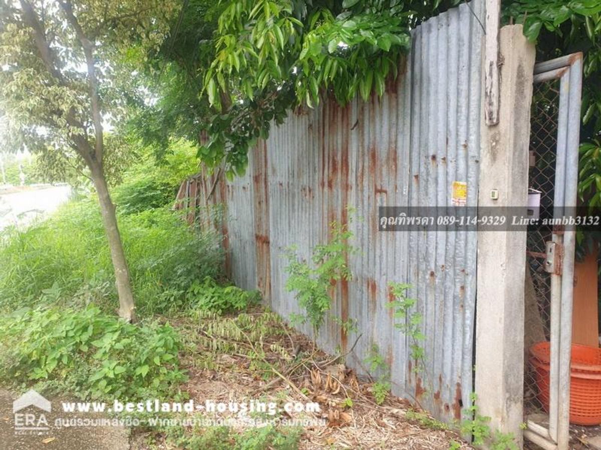 ขายที่ดินติดถนน คลอง 7 ปทุมธานี พร้อมบ้านเลขที่ น้ำไฟ ขนาดที่ดิน: 4 ไร่ 1 งาน 19 ตารางวา – รูปที่ 4