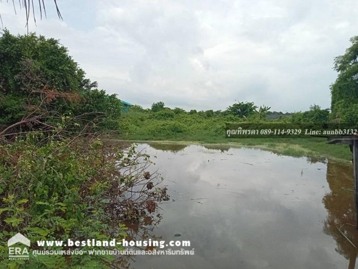 ขายที่ดินติดถนน คลอง 7 ปทุมธานี พร้อมบ้านเลขที่ น้ำไฟ ขนาดที่ดิน: 4 ไร่ 1 งาน 19 ตารางวา – รูปที่ 3