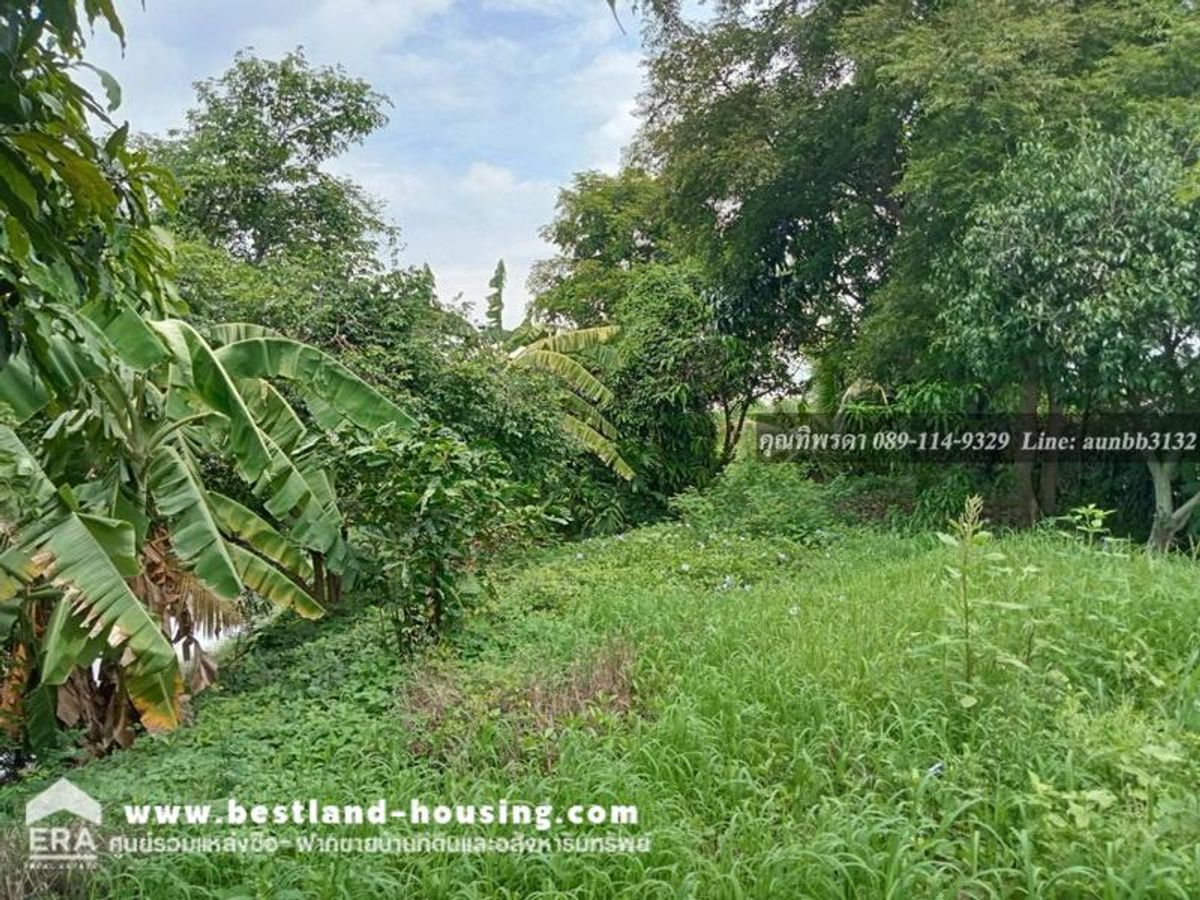 ขายที่ดินติดถนน คลอง 7 ปทุมธานี พร้อมบ้านเลขที่ น้ำไฟ ขนาดที่ดิน: 4 ไร่ 1 งาน 19 ตารางวา – รูปที่ 2