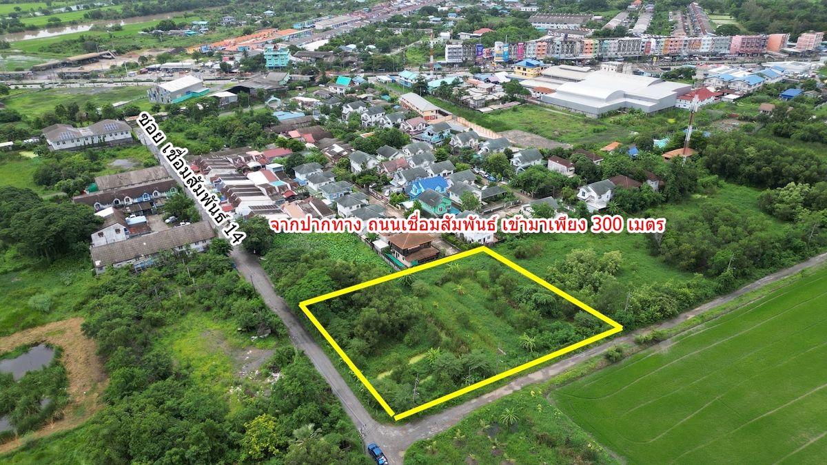 Rental land, cheap price, good location, near the main road, Soi Samphan 14, Nong Chok District, Bangkok – รูปที่ 2