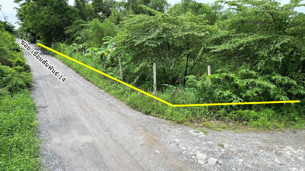 Rental land, cheap price, good location, near the main road, Soi Samphan 14, Nong Chok District, Bangkok – รูปที่ 4