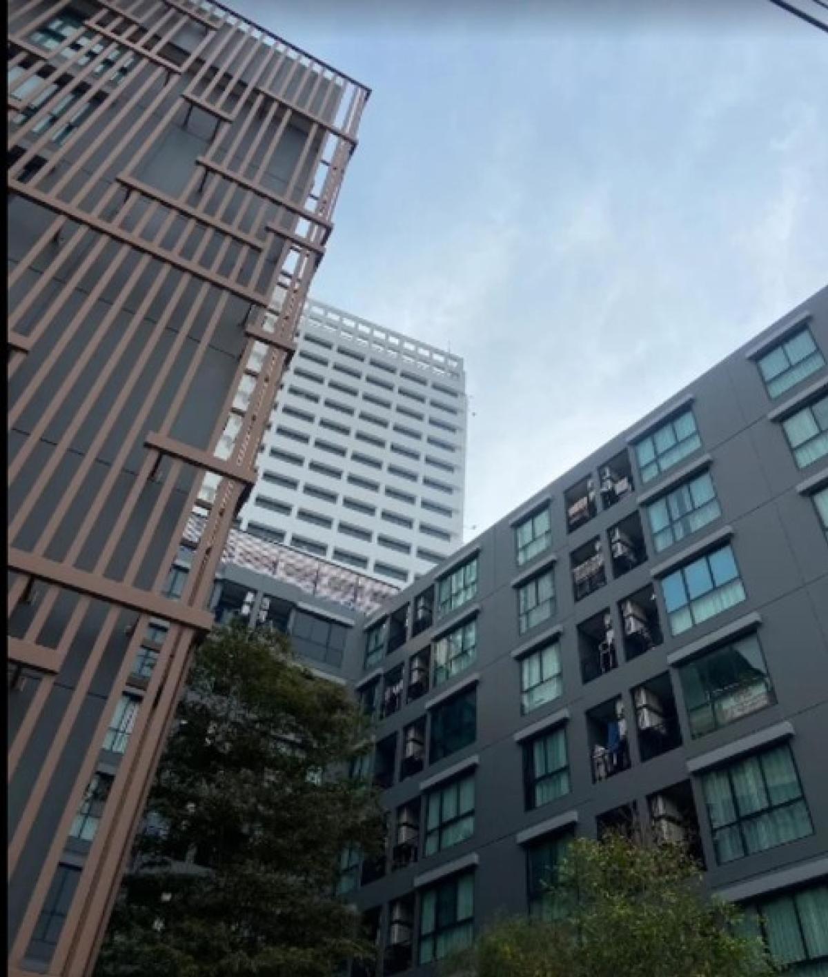 (A033684) The Belgravia @ Ratchada - Ladprao 15 (A033684) The Belgravia @ Ratchada - Ladprao 15