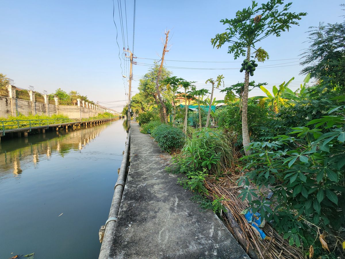 Sell ​​beautiful plot of land on the waterfront. Next to Bang Ramad Canal Making a dam to block the water. 🌅 – รูปที่ 2