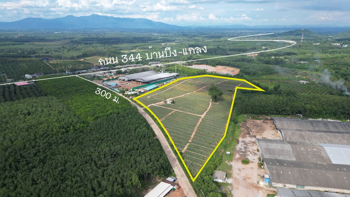 ขายที่ดิน 40-3-7.1 ไร่ อำเภอวังจันทร์ จังหวัดระยอง ขายที่ดิน 40-3-7.1 ไร่ อำเภอวังจันทร์ จังหวัดระยอง