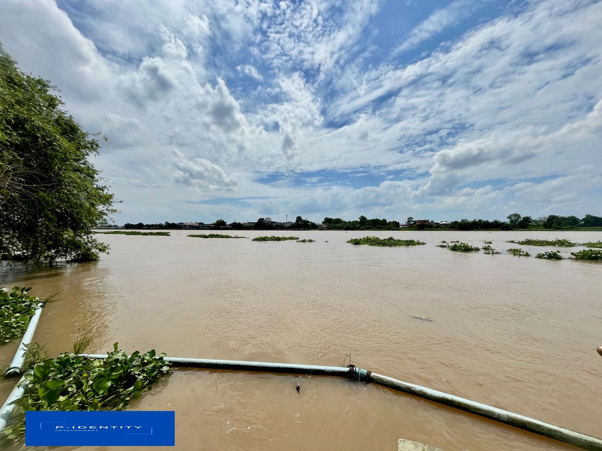 Yes !! V!  Land next to the Chao Phraya River, beautiful plots, wide views, receive rivers Land access Very convenient to travel Near many facilities, Bang Kadi Road, Line in Pathum Thani District – รูปที่ 3