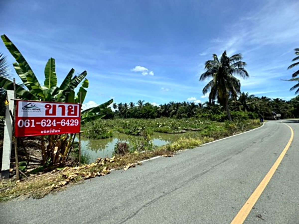Land for sale, fruit orchard, Sam Phran District, Khlong Chinda Subdistrict, Nakhon Pathom 25 Rai (N.1737) Land for sale, fruit orchard, Sam Phran District, Khlong Chinda Subdistrict, Nakhon Pathom 25 Rai (N.1737)