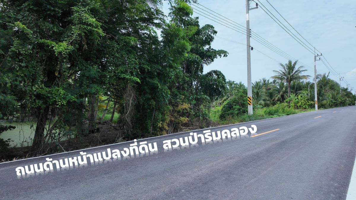Selling a forest plantation along the Saen Saep canal 9 rai 54 sq.w. sells only 9.5 million baht, Bang Nam Priao, Chachoengsao – รูปที่ 4